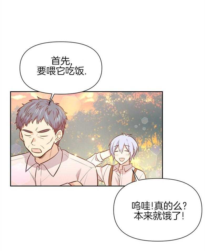 《狂撩炮灰美人殿下》第22话 异界的社畜 第13页