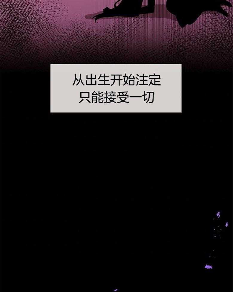 《狂撩炮灰美人殿下》第2话 2_不幸的炮灰美人儿 第43页
