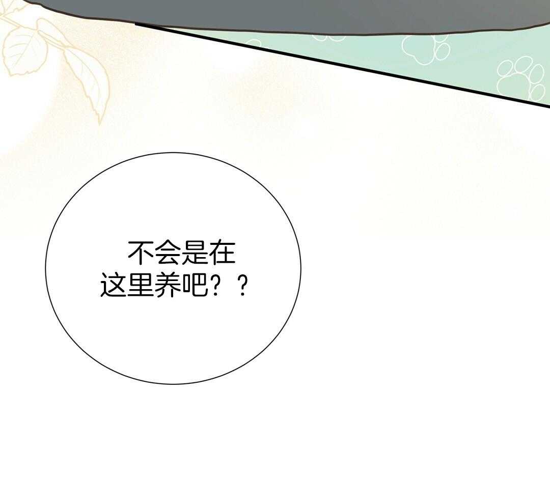 《理事靠脑补送上门》第52话 想他 第37页