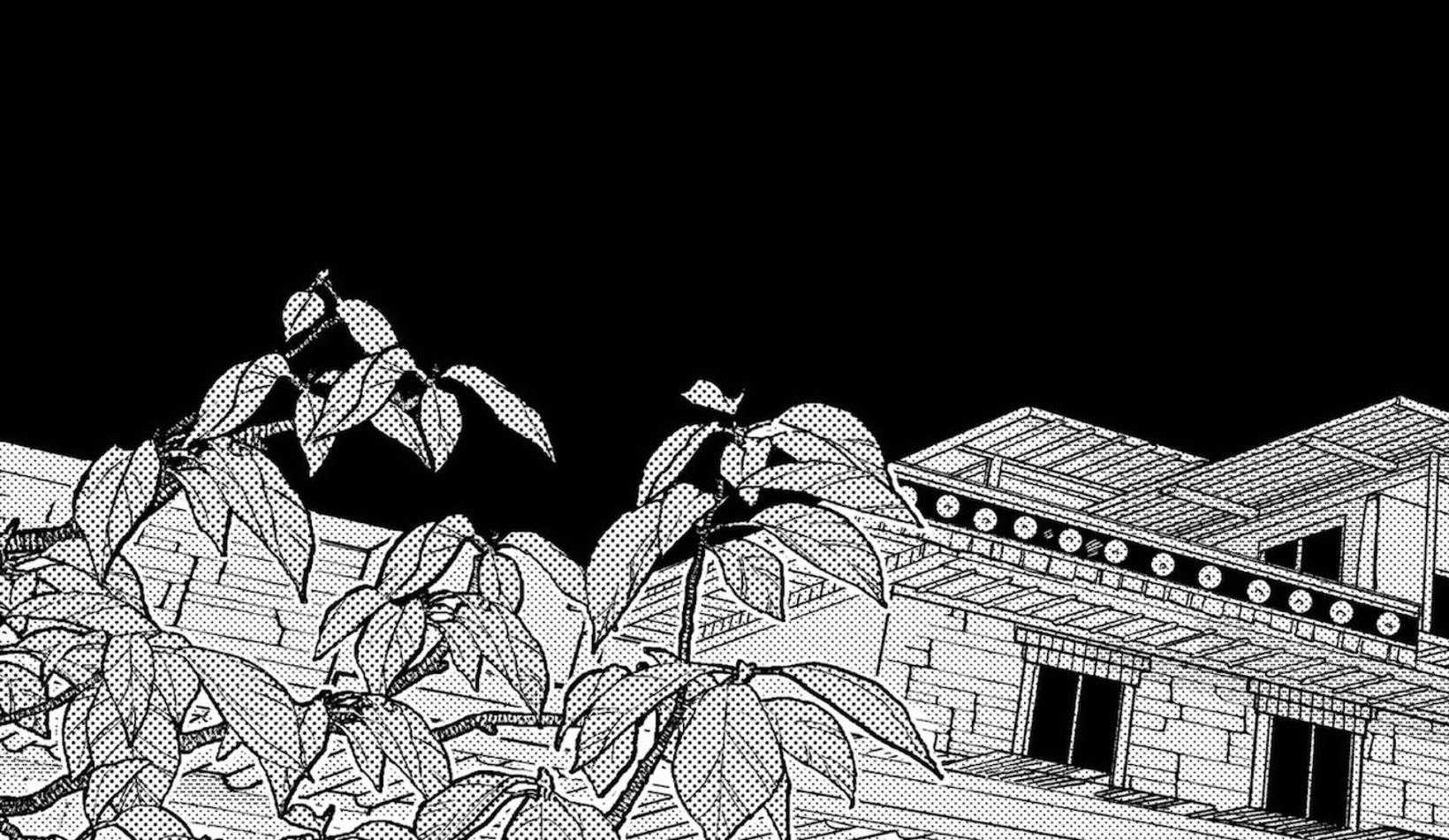《替身花嫁（菈菈的婚礼）》第1话 1_婚礼之夜 第2页