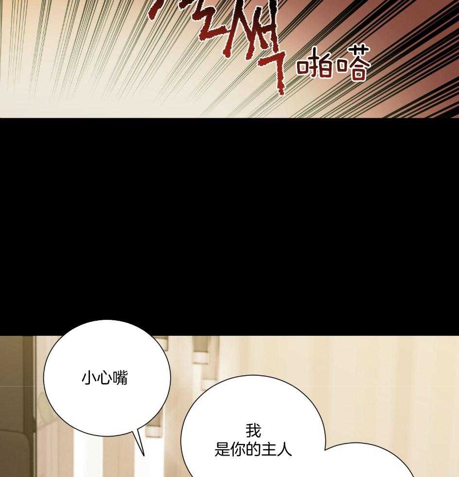 《虐待狂之美》第23话 成功的妄想 第18页