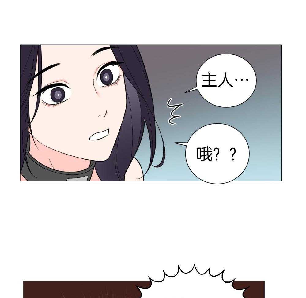 《虐待狂之美》第34话 主人的游戏 第19页