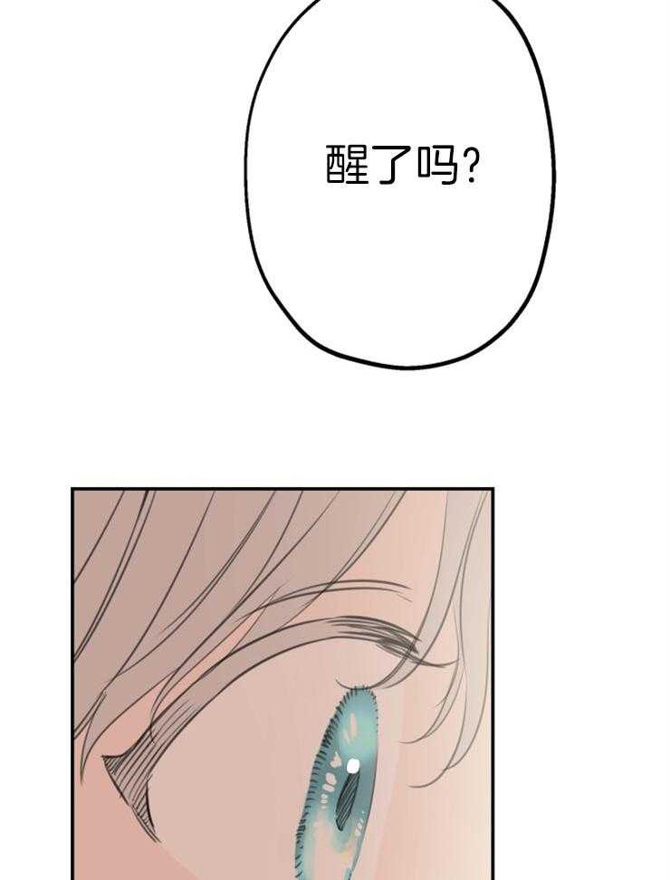 《穿到乙游做团宠》第34话 内心的挣扎 第31页