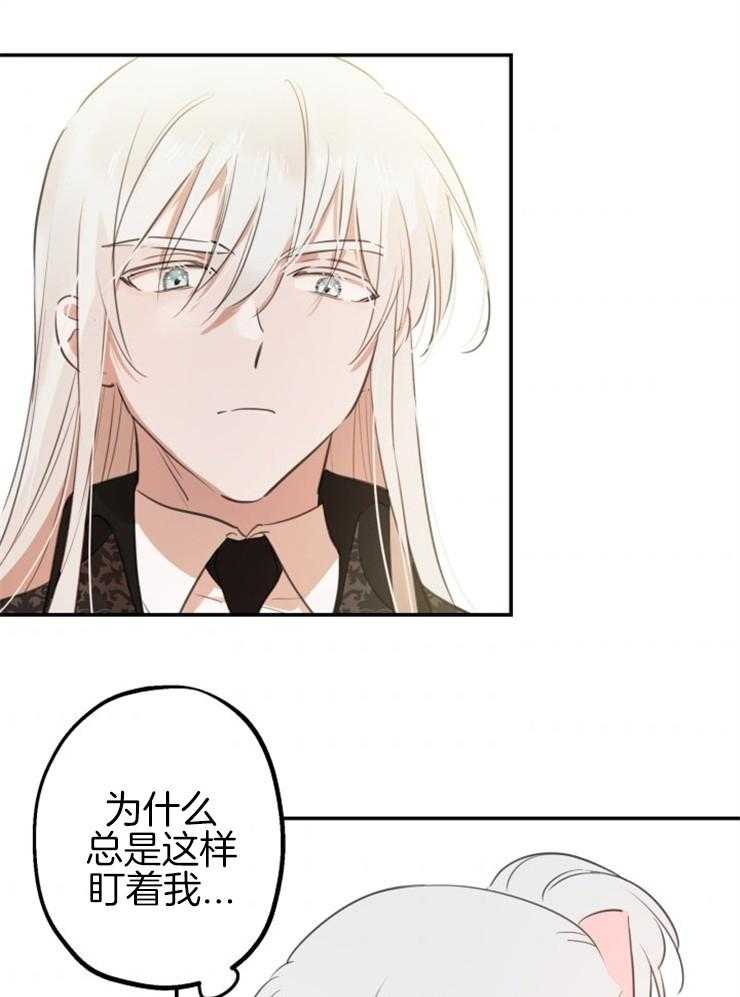 《穿到乙游做团宠》第40话 双人舞 第4页