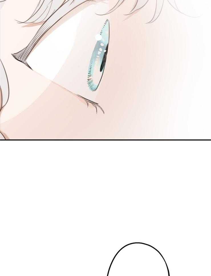 《穿到乙游做团宠》第47话 拍档 第17页