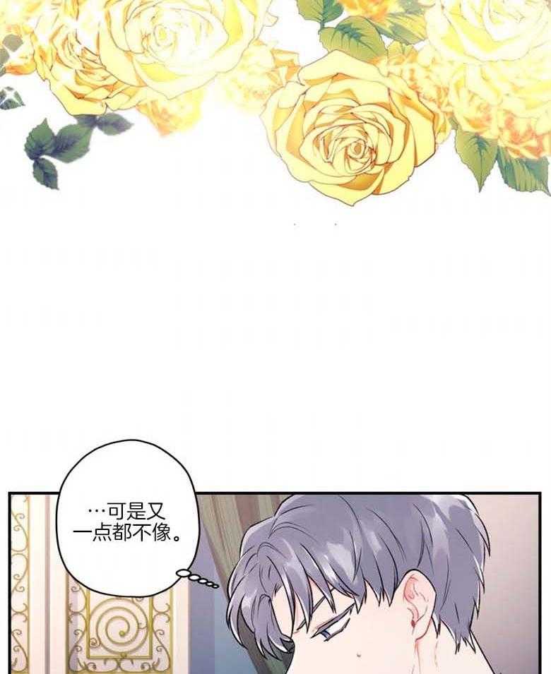 《被男主领养了》第23话 逃跑的贵族小姐 第13页