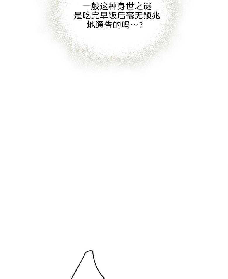 《被男主领养了》第31话 生母 第4页