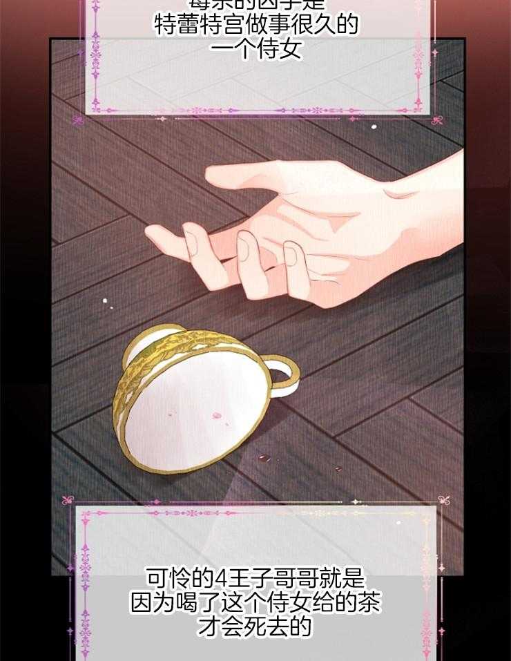 《皇女的无限轮回》第20话 茶里有毒 第17页
