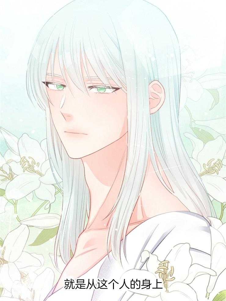 《皇女的无限轮回》第29话 死到麻木 第51页