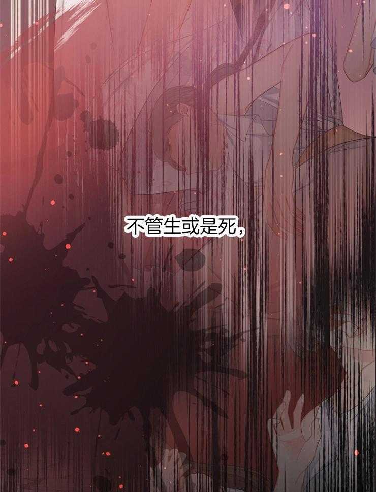 《皇女的无限轮回》第34话 怕的不是你 第13页