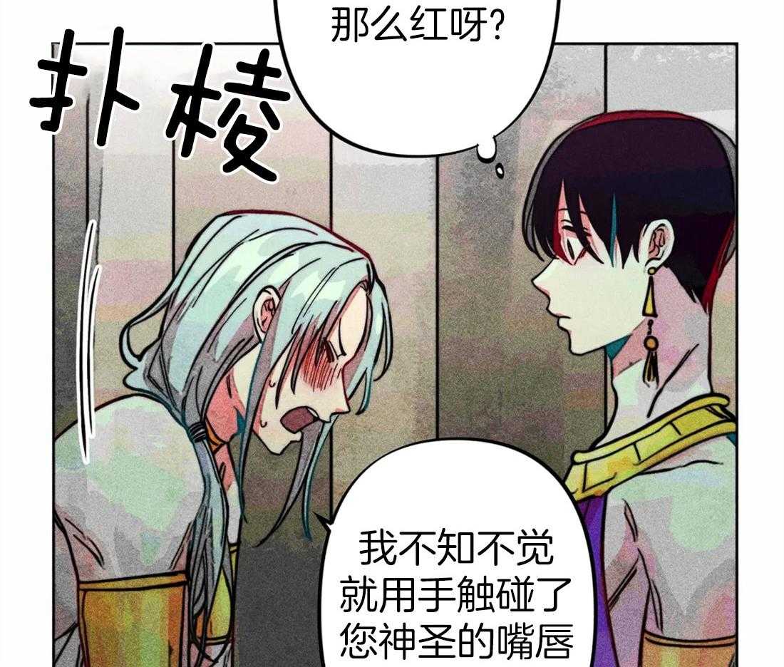 《被迫穿成异世神》第25话 他的荣幸 第13页
