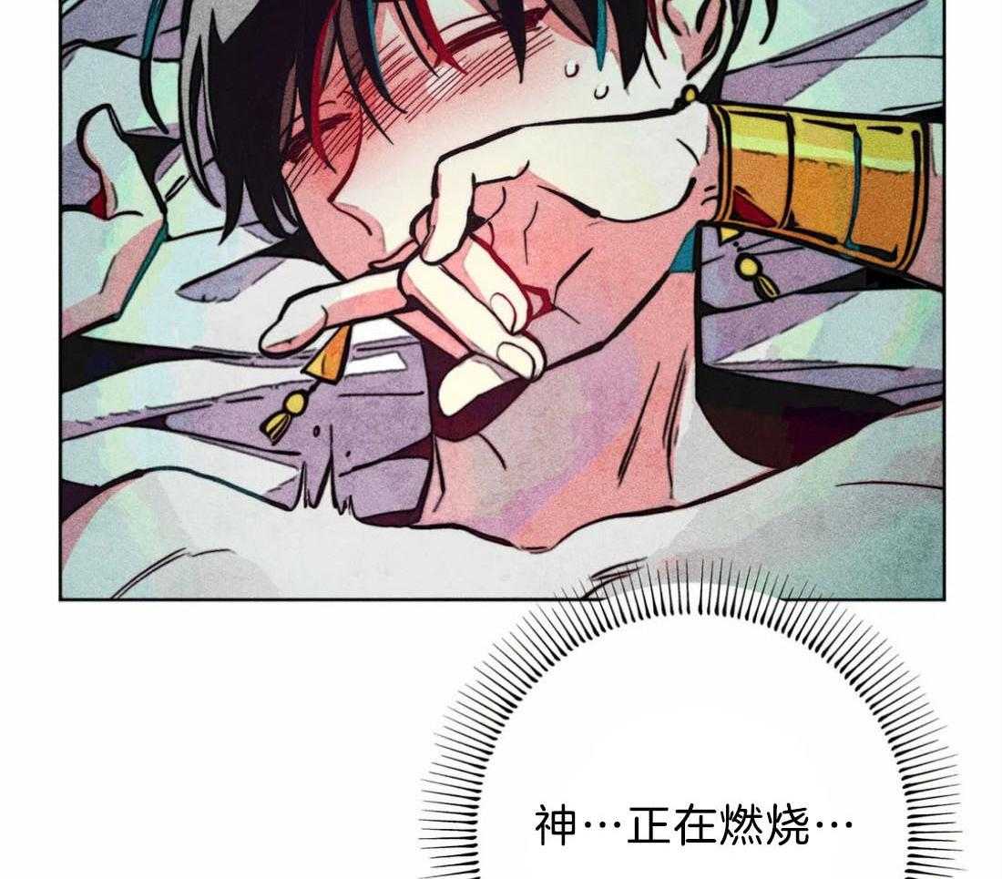 《被迫穿成异世神》第31话 净化和拯救 第13页