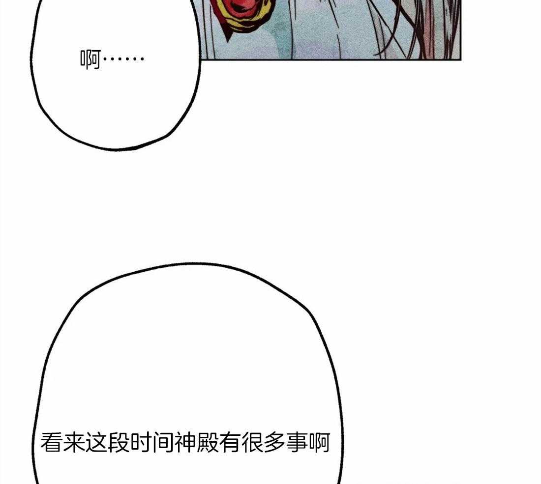 《被迫穿成异世神》第42话 庆典 第17页