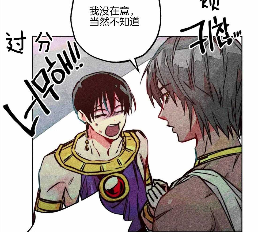 《被迫穿成异世神》第44话 参加庆典 第11页