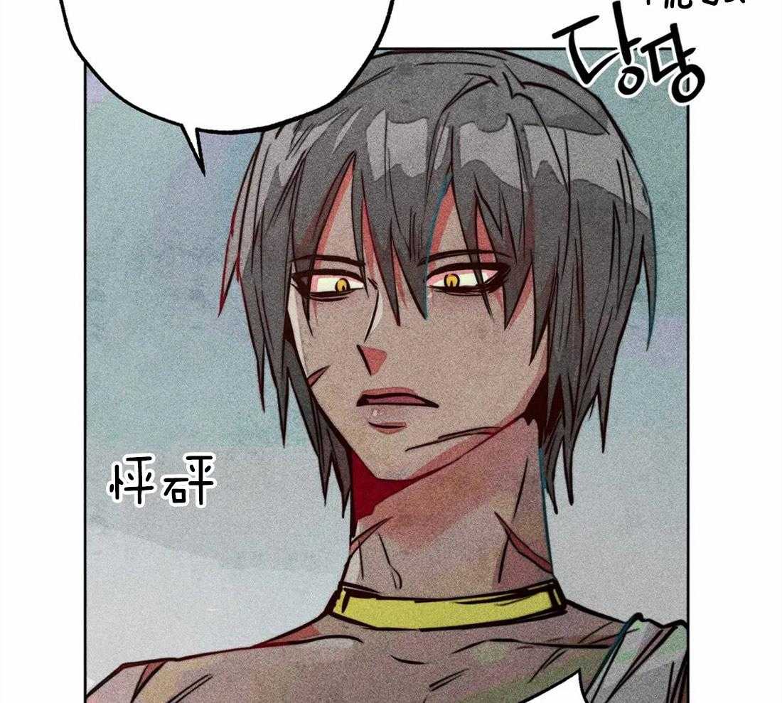 《被迫穿成异世神》第44话 参加庆典 第9页