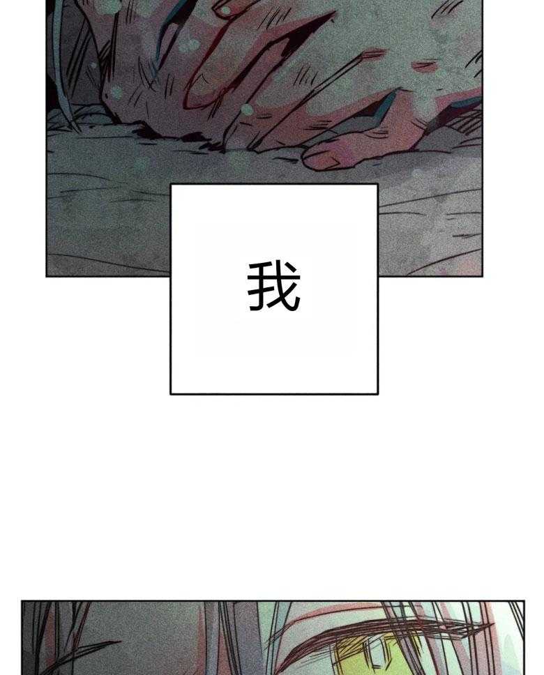 《被迫穿成异世神》第54话 神的奇迹 第12页