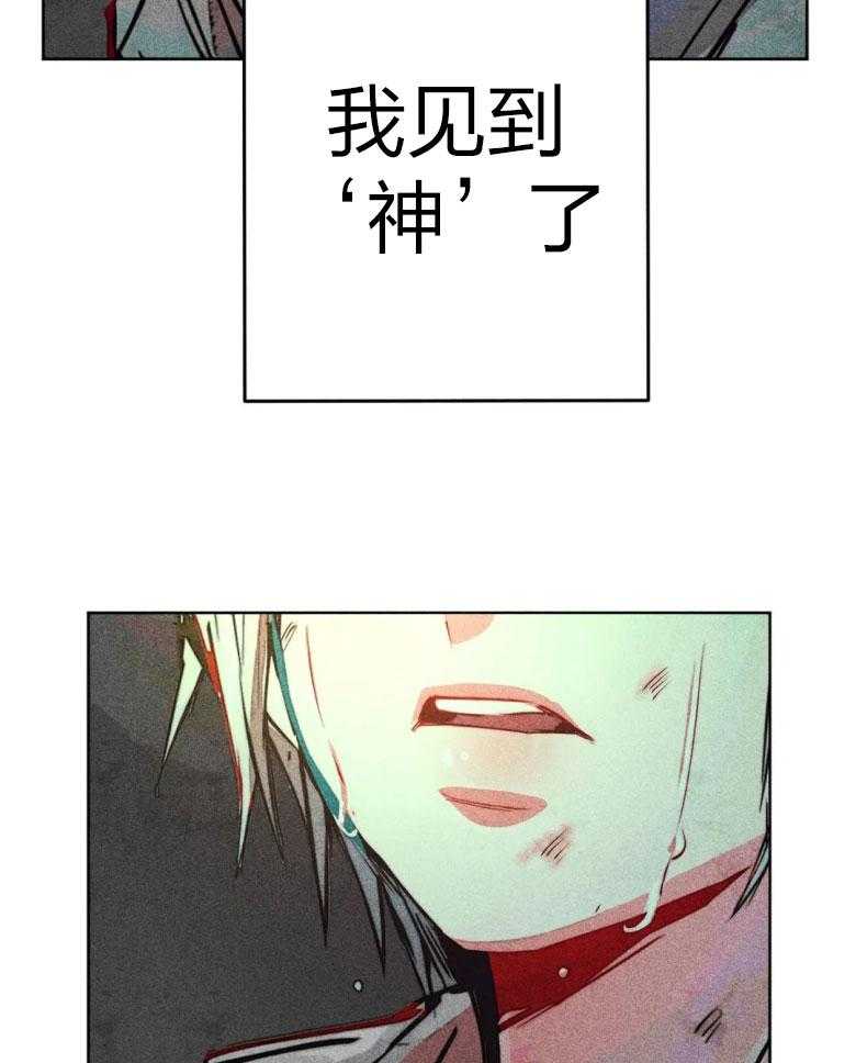 《被迫穿成异世神》第54话 神的奇迹 第17页