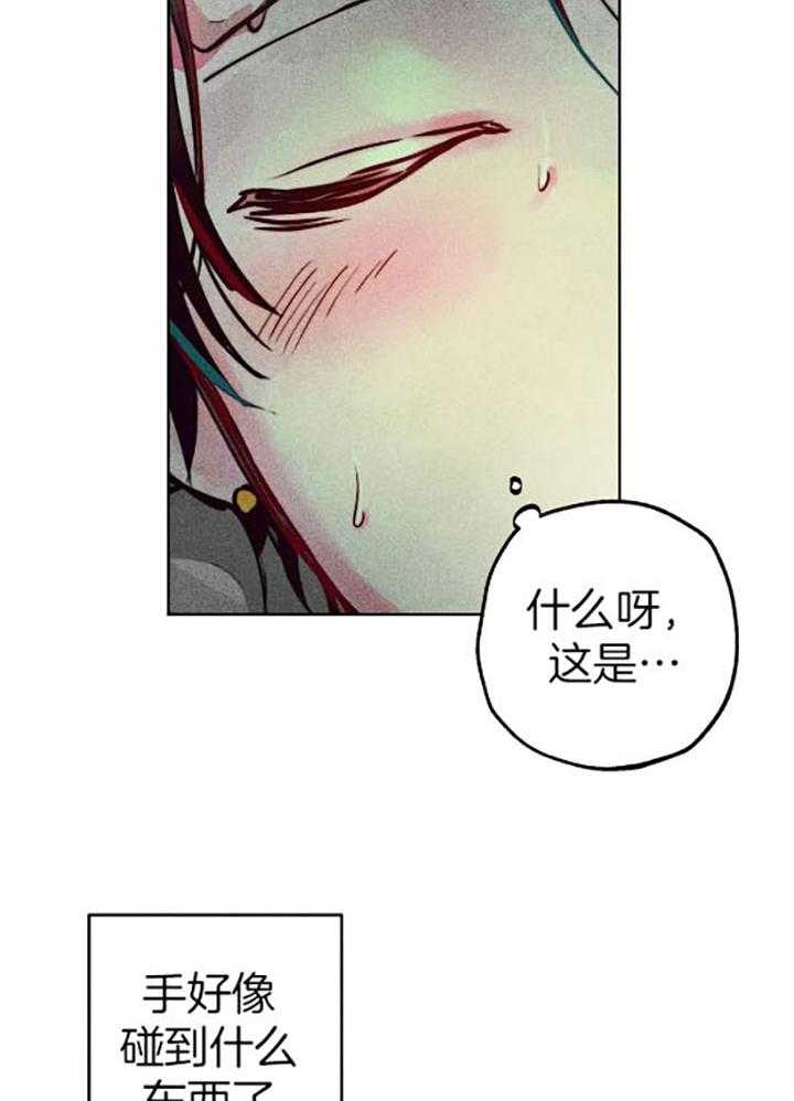 《被迫穿成异世神》第60话 幸福地苏醒 第3页