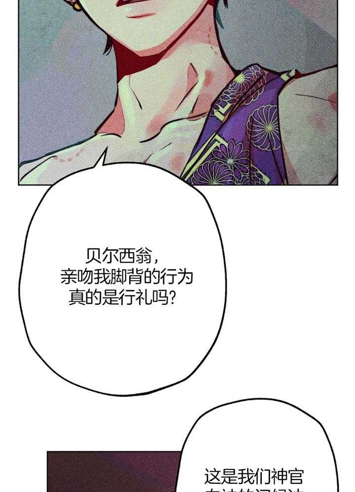 《被迫穿成异世神》第63话 亲吻的礼法 第17页