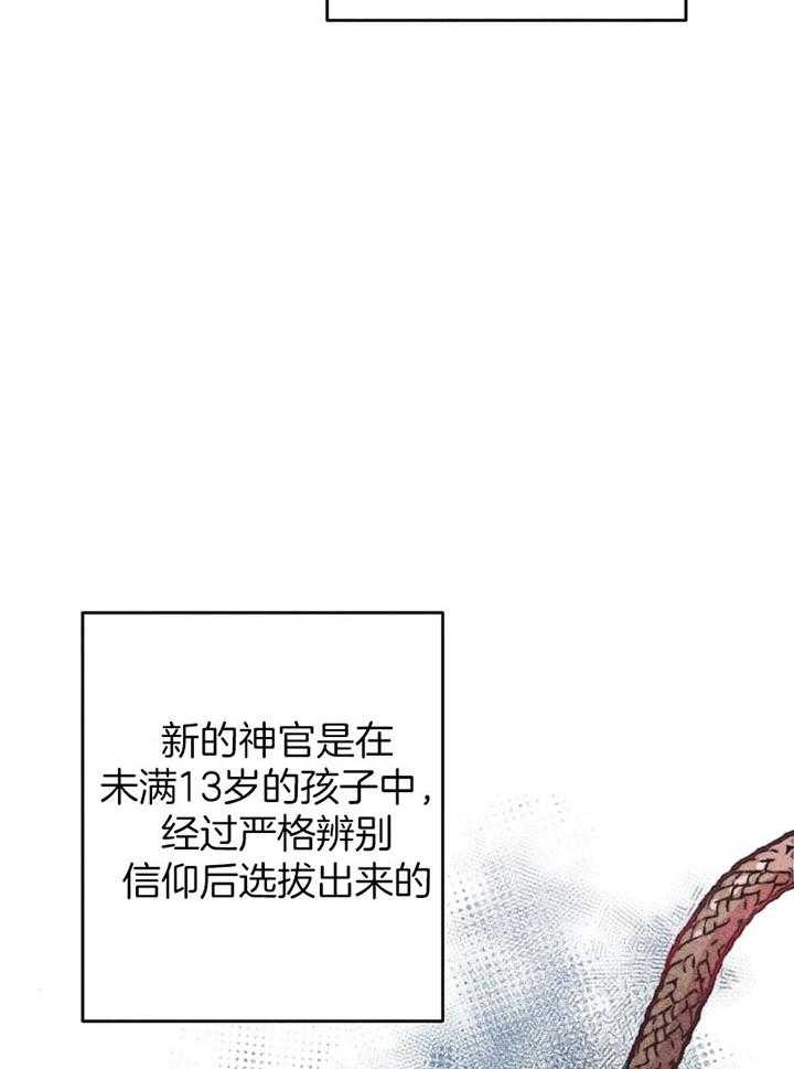 《被迫穿成异世神》第65话 任命仪式 第13页
