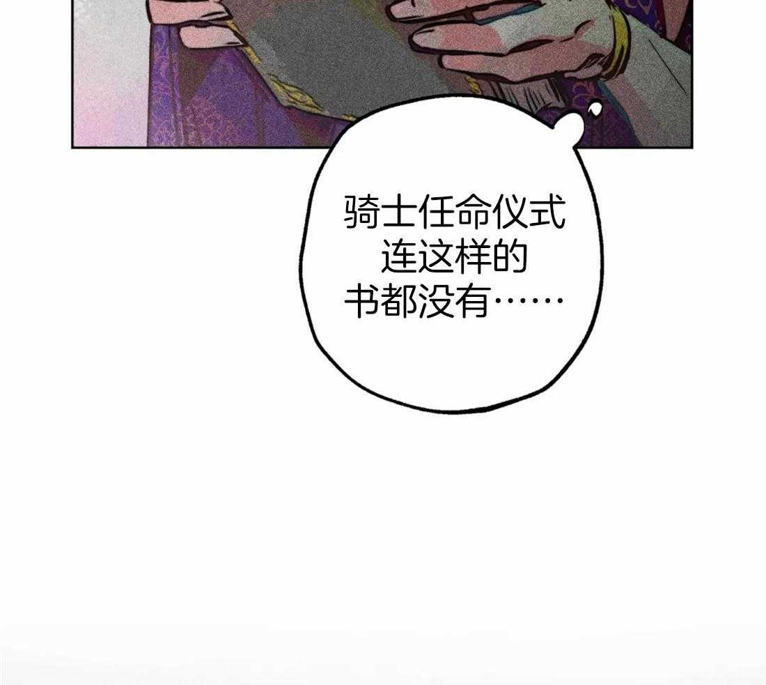 《被迫穿成异世神》第74话 任命仪式 第30页
