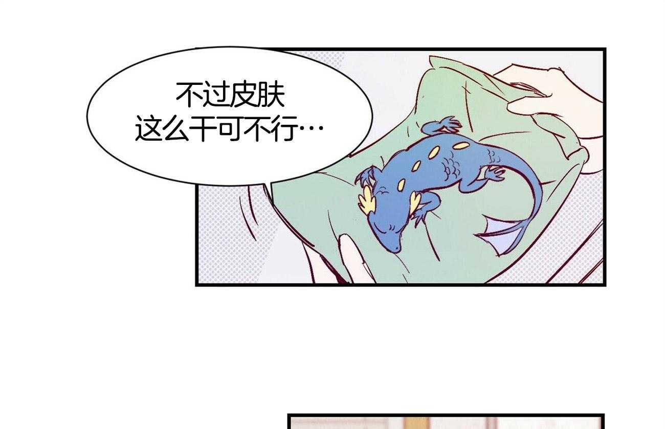 《龙的逆鳞》第1话 1_捡到奇怪东西 第24页