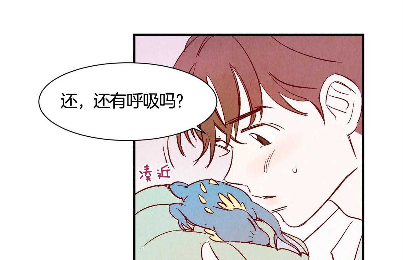 《龙的逆鳞》第1话 1_捡到奇怪东西 第27页