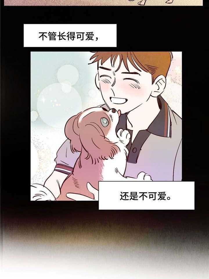 《龙的逆鳞》第9话 9_喜欢动物的理由 第5页