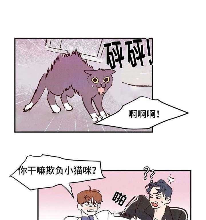 《龙的逆鳞》第10话 10_宽衣解带的乐趣 第16页