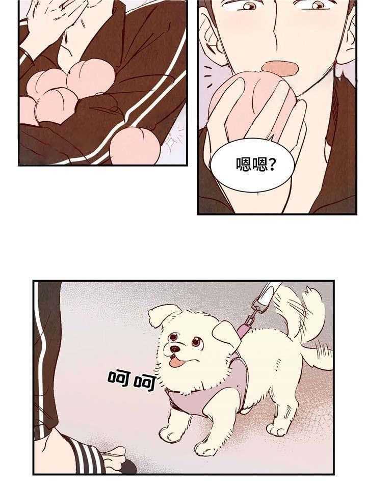《龙的逆鳞》第11话 11_桃店店主 第12页