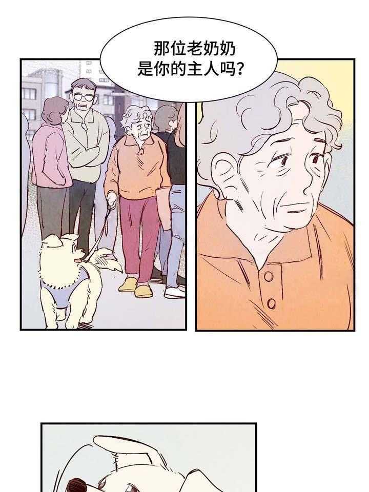 《龙的逆鳞》第11话 11_桃店店主 第13页