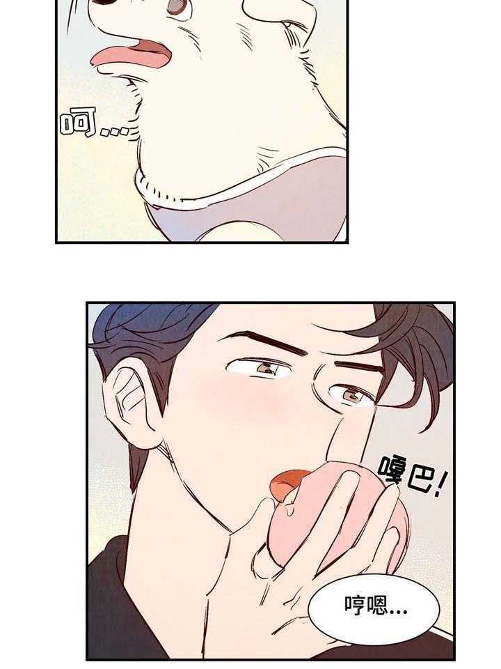 《龙的逆鳞》第11话 11_桃店店主 第14页