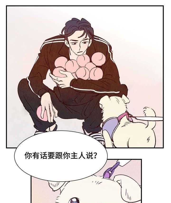 《龙的逆鳞》第11话 11_桃店店主 第15页