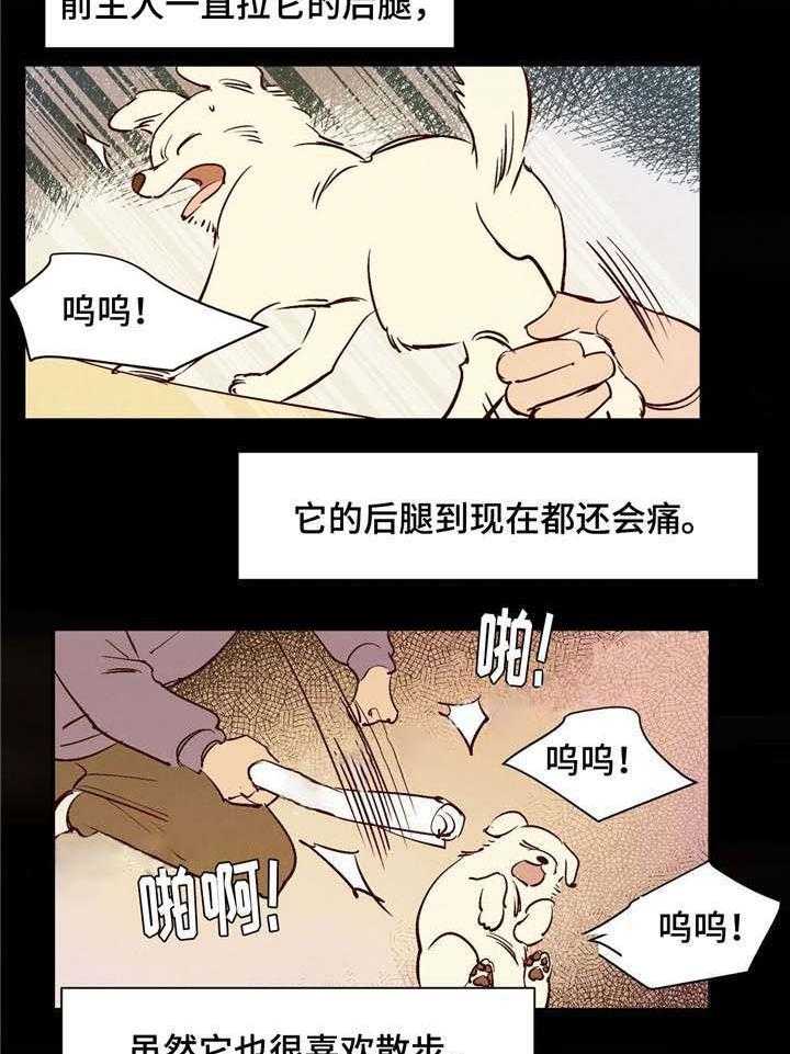 《龙的逆鳞》第12话 12_狗狗的故事 第15页