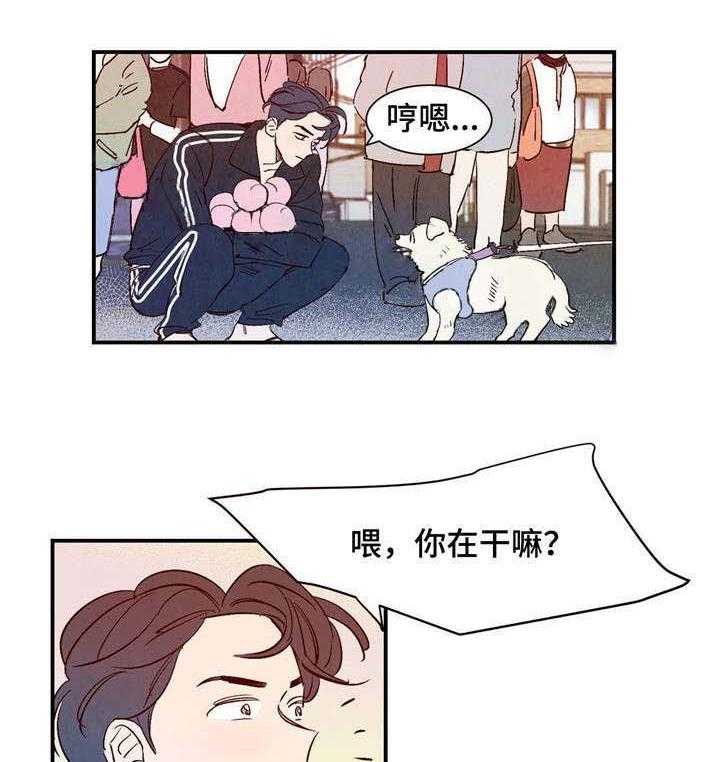 《龙的逆鳞》第12话 12_狗狗的故事 第6页