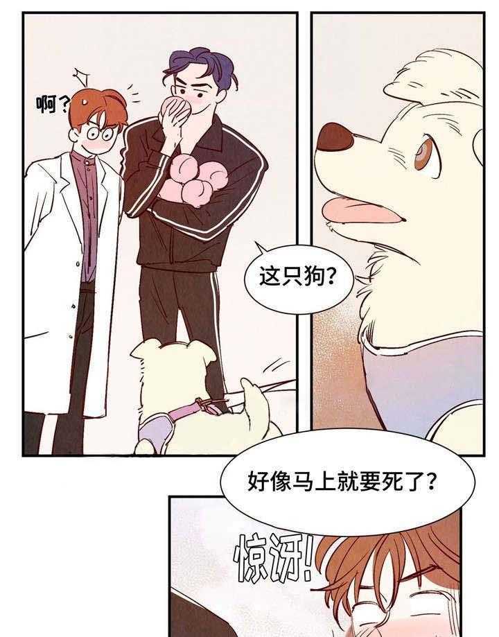 《龙的逆鳞》第12话 12_狗狗的故事 第8页