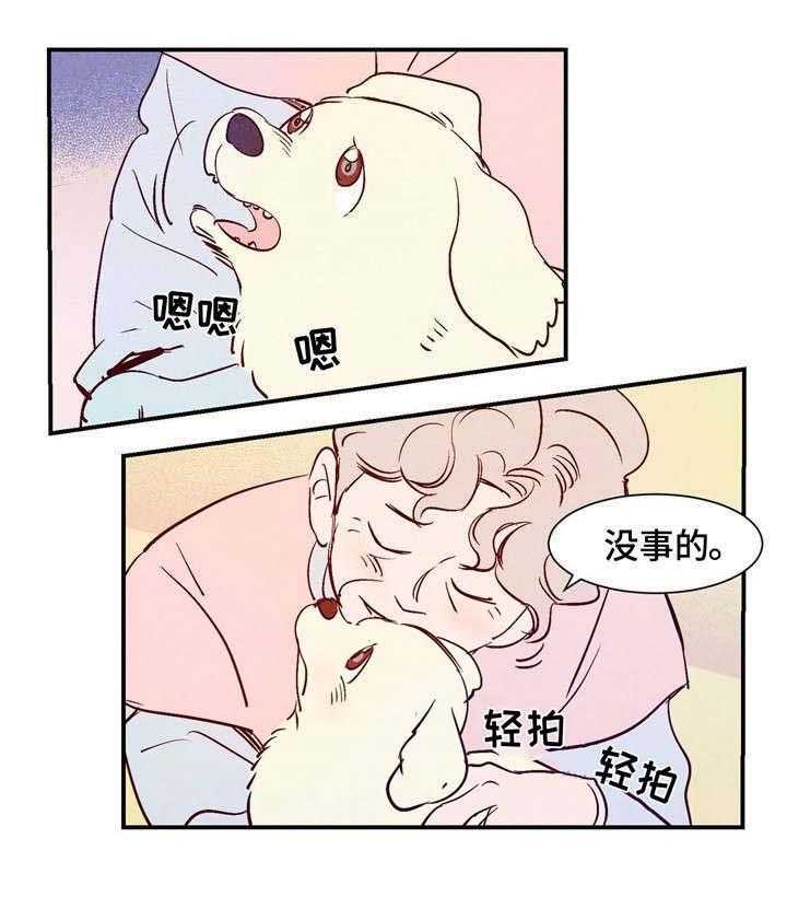 《龙的逆鳞》第17话 17_惩罚 第3页
