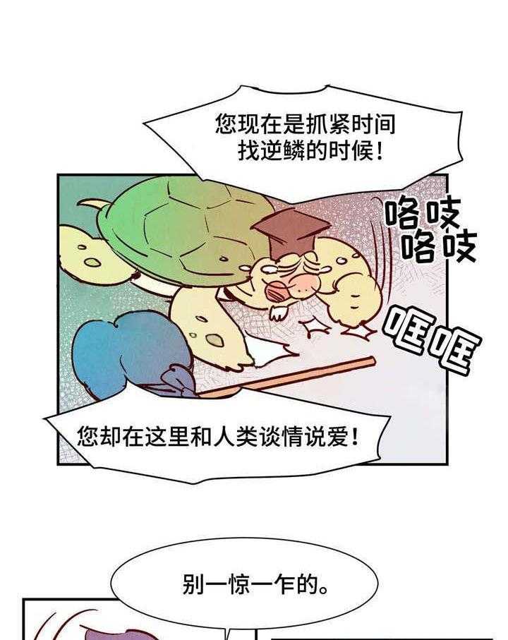 《龙的逆鳞》第21话 会说话的乌龟 第19页
