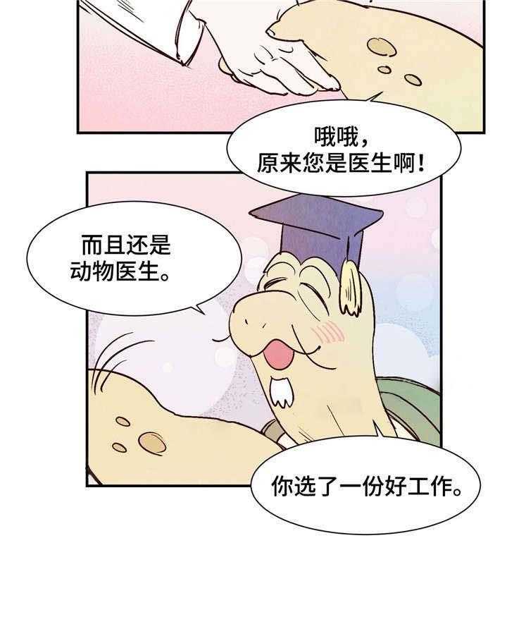 《龙的逆鳞》第24话 入驻医院 第18页