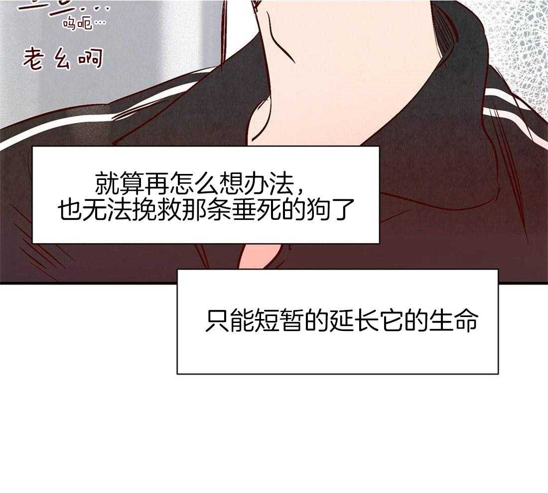 《龙的逆鳞》第41话 见证死亡 第12页