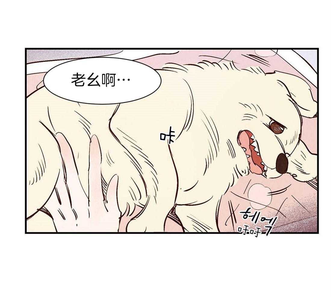 《龙的逆鳞》第41话 见证死亡 第13页