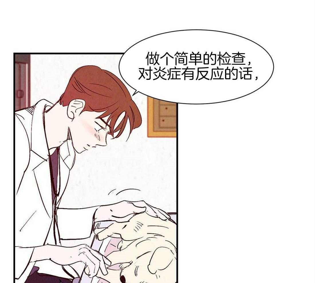 《龙的逆鳞》第41话 见证死亡 第14页