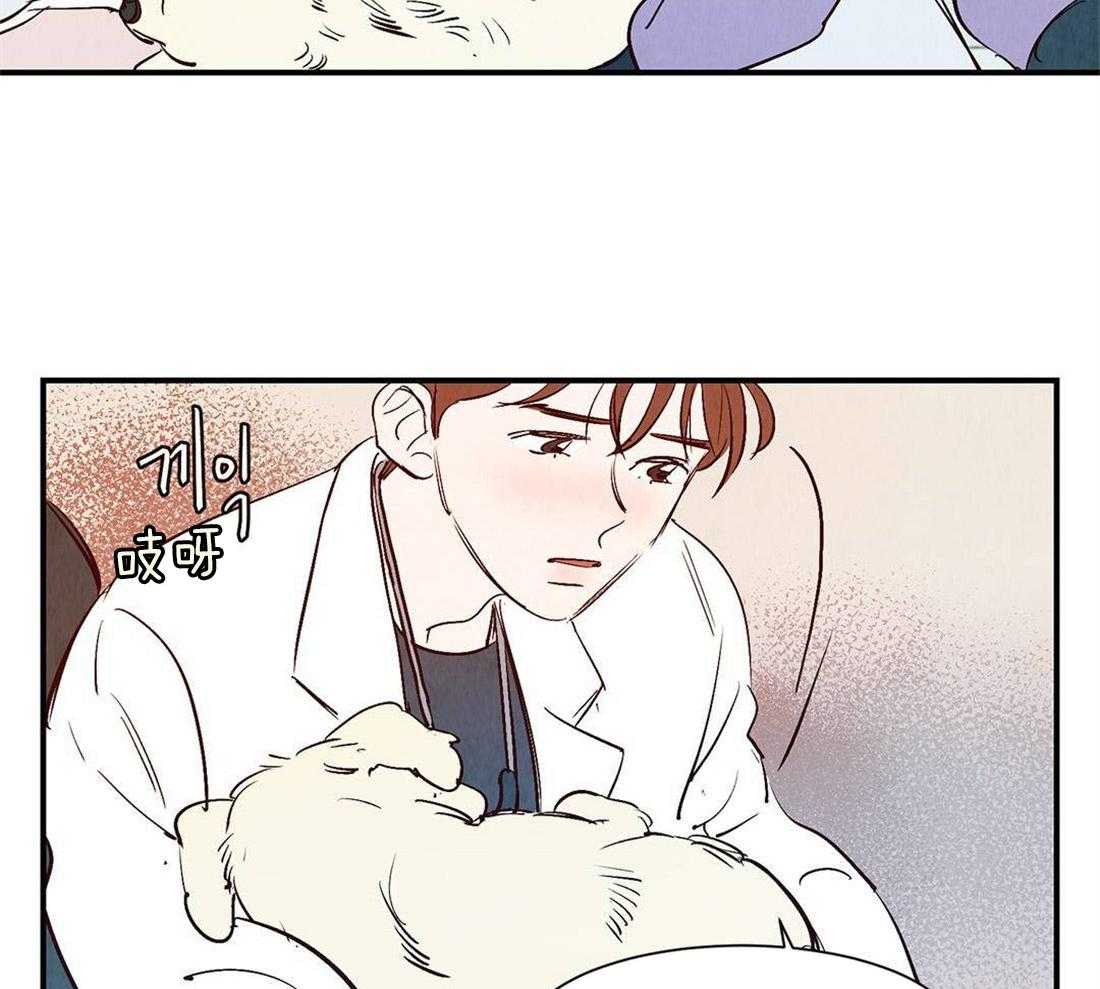《龙的逆鳞》第41话 见证死亡 第17页