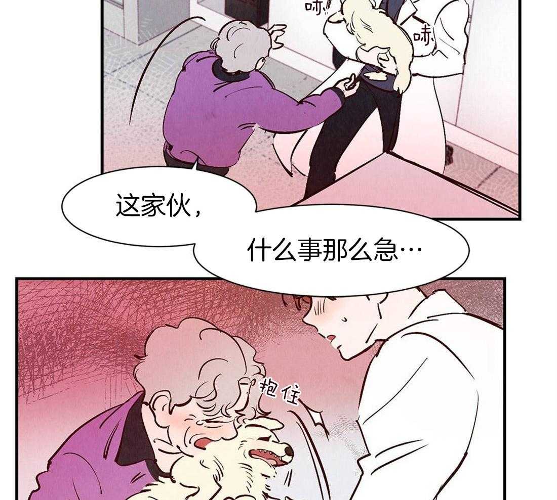 《龙的逆鳞》第41话 见证死亡 第23页