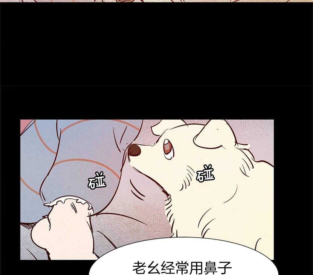 《龙的逆鳞》第42话 生命的流逝 第11页