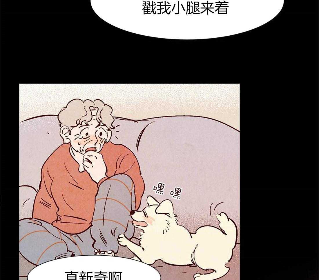 《龙的逆鳞》第42话 生命的流逝 第12页