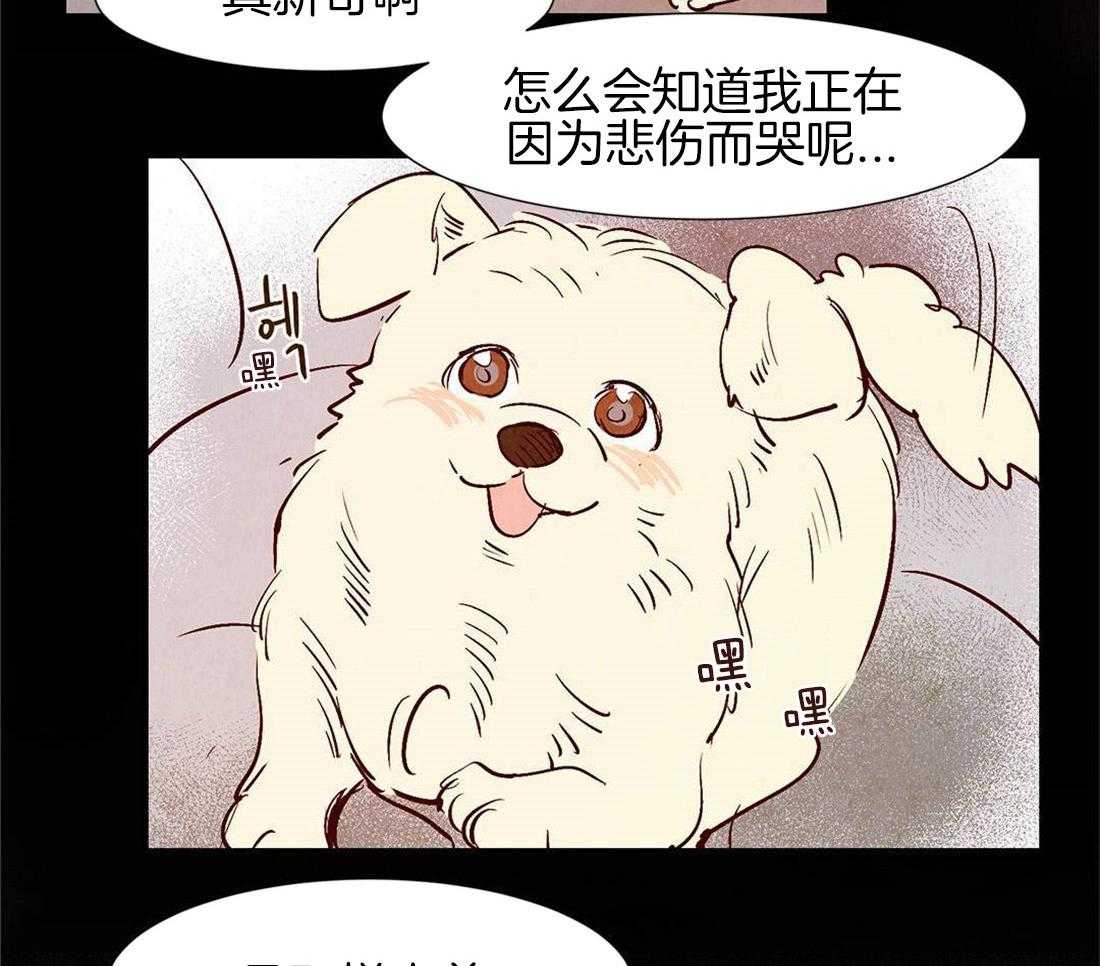 《龙的逆鳞》第42话 生命的流逝 第13页
