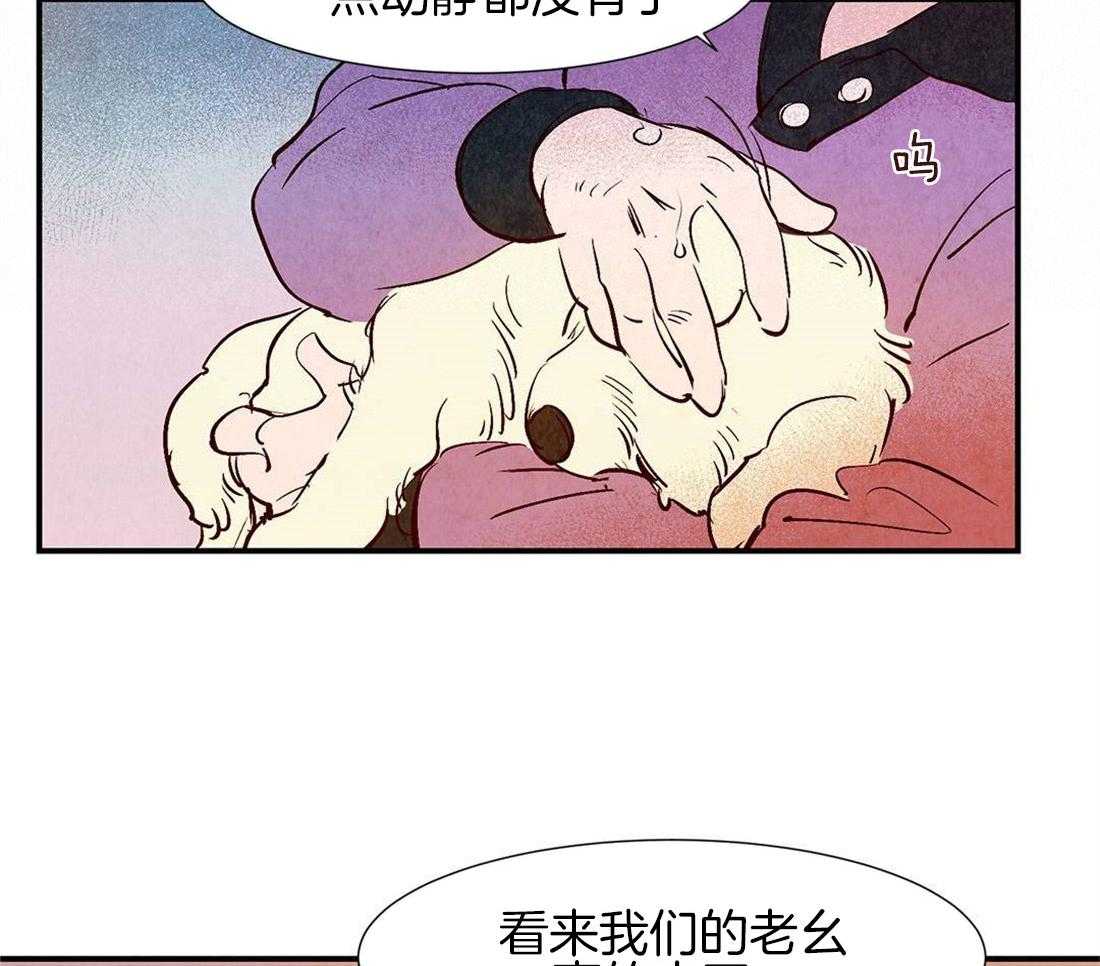 《龙的逆鳞》第42话 生命的流逝 第15页