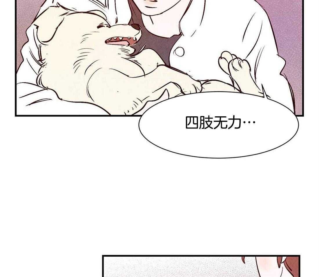 《龙的逆鳞》第40话 寿命将至 第4页