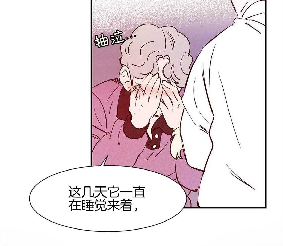 《龙的逆鳞》第40话 寿命将至 第5页